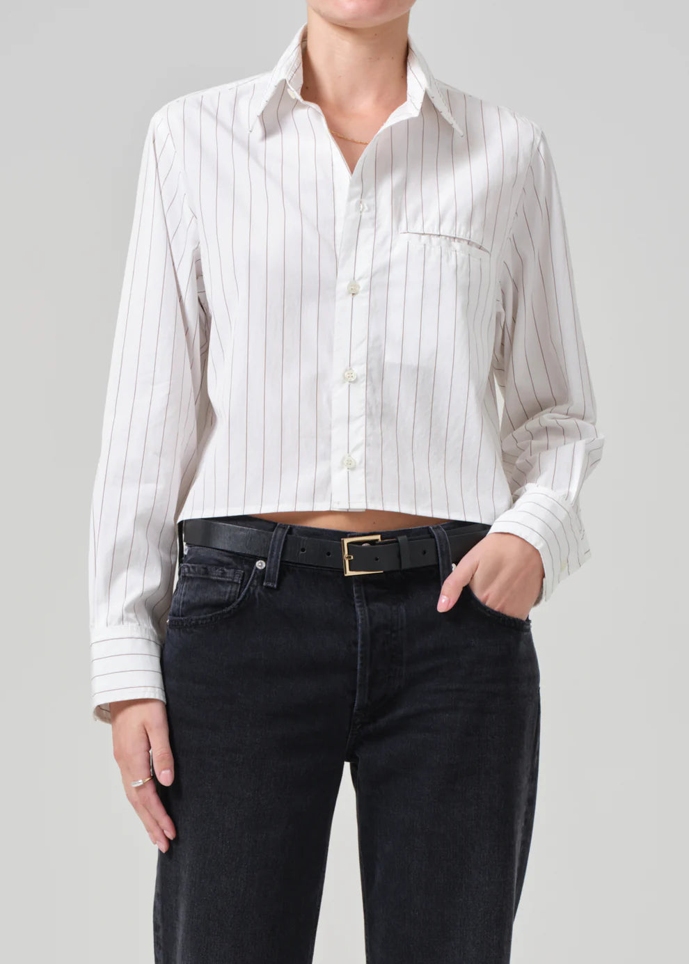 Fino Cropped Shirt In Clove Stripe